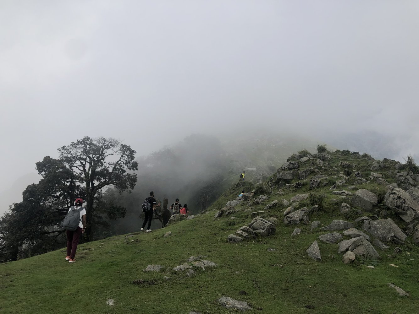 Trip image